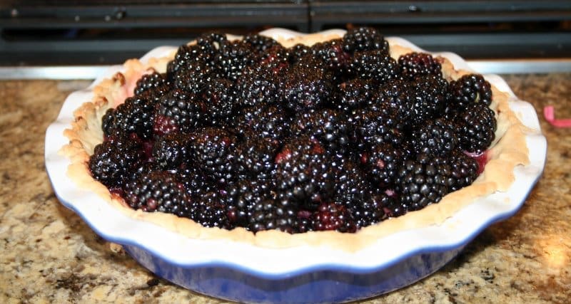 Fresh Blackberry Pie