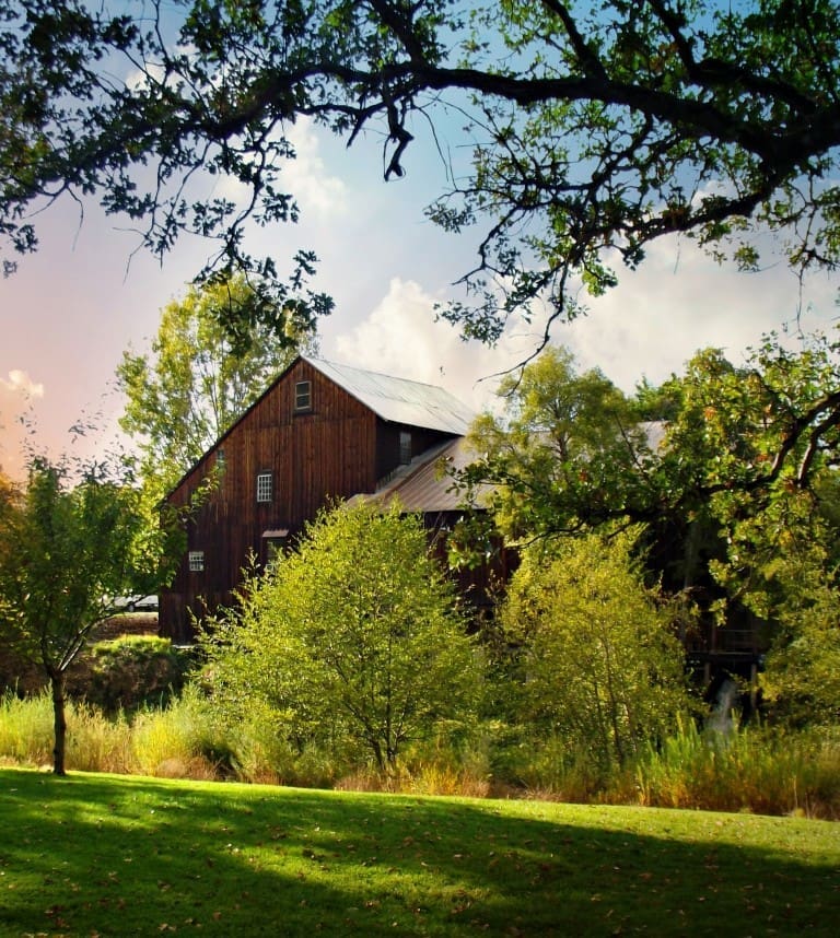 A beautiful day at The Mill