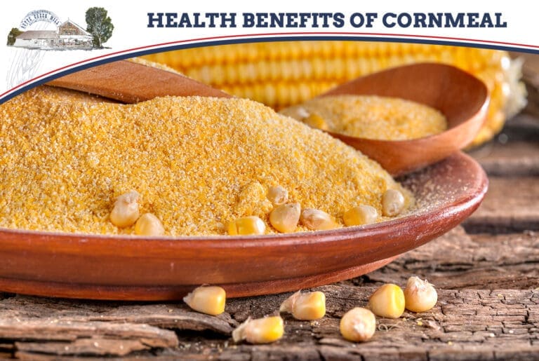 2024-09_Health Benefits of Cornmeal