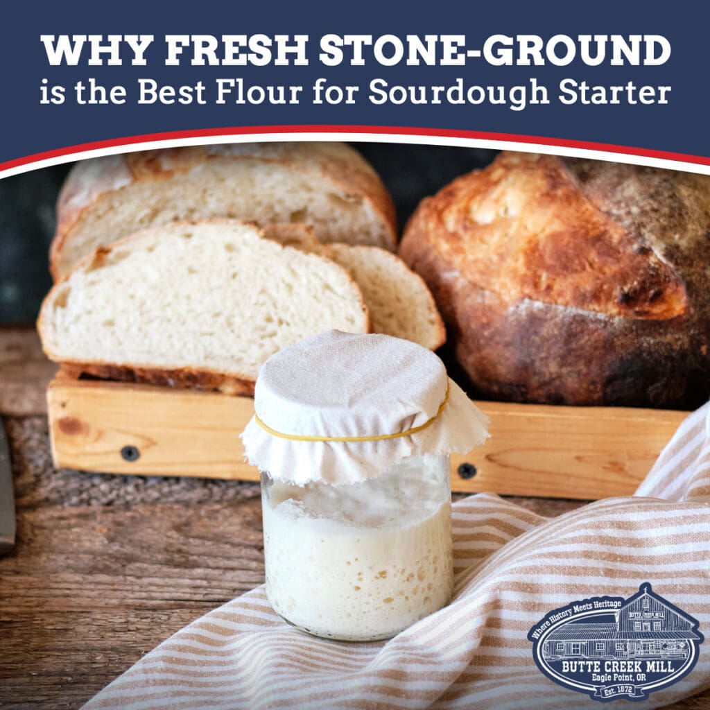 SourDOugh